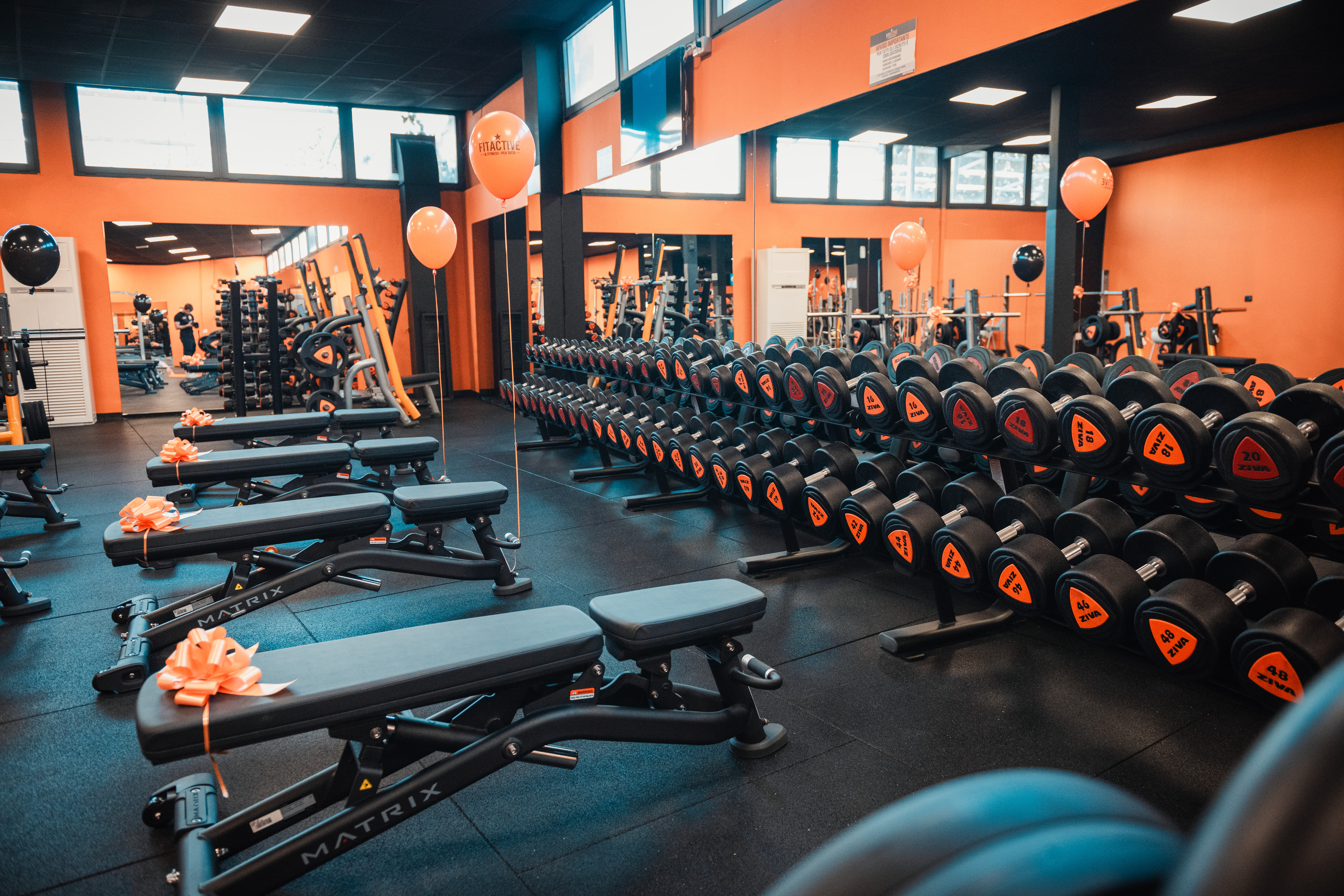 FitActive Massa